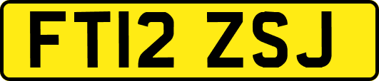 FT12ZSJ