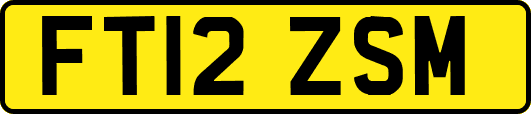 FT12ZSM