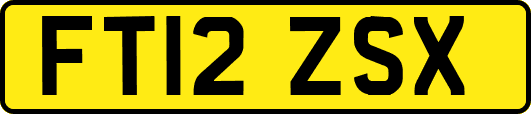 FT12ZSX