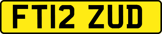 FT12ZUD