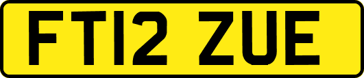 FT12ZUE