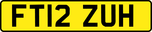 FT12ZUH