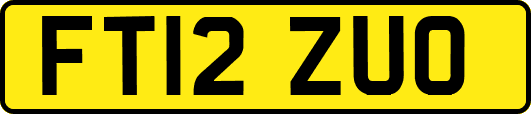 FT12ZUO