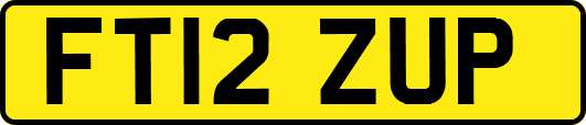 FT12ZUP