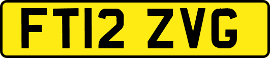 FT12ZVG