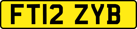 FT12ZYB