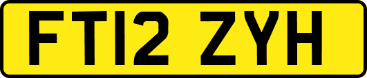 FT12ZYH