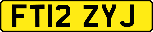 FT12ZYJ