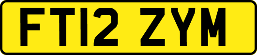 FT12ZYM