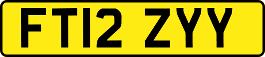 FT12ZYY