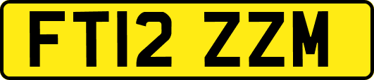 FT12ZZM