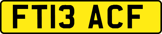 FT13ACF