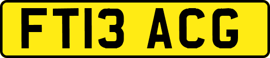 FT13ACG