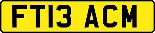 FT13ACM