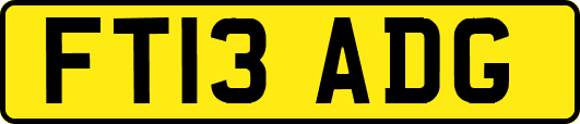 FT13ADG