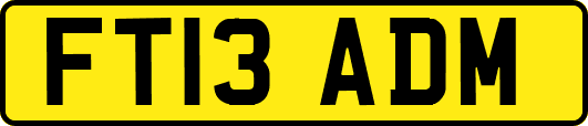 FT13ADM