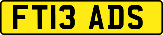 FT13ADS