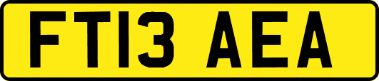 FT13AEA