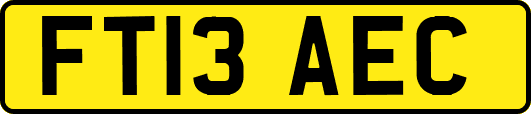 FT13AEC