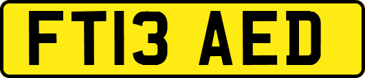 FT13AED
