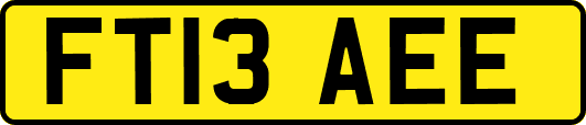 FT13AEE