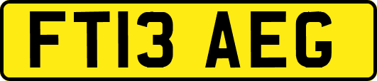 FT13AEG