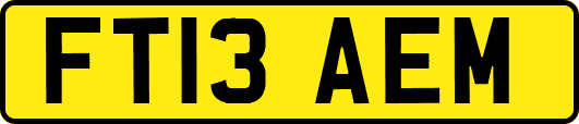 FT13AEM