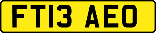 FT13AEO
