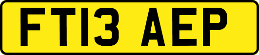 FT13AEP