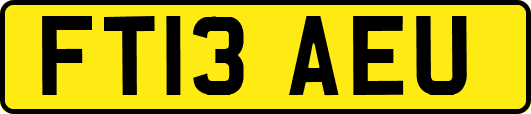 FT13AEU