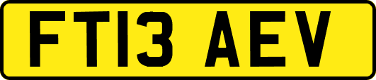 FT13AEV