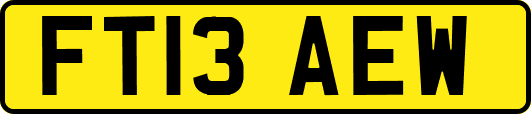 FT13AEW