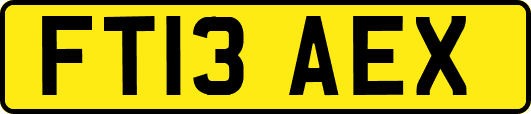FT13AEX