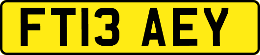 FT13AEY
