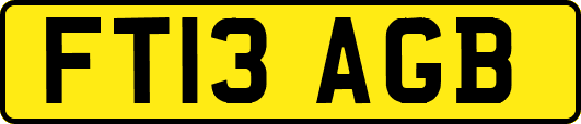 FT13AGB