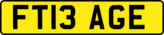 FT13AGE