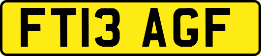 FT13AGF