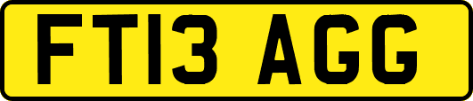 FT13AGG