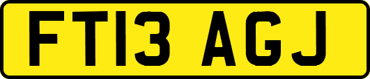 FT13AGJ