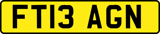 FT13AGN