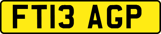 FT13AGP