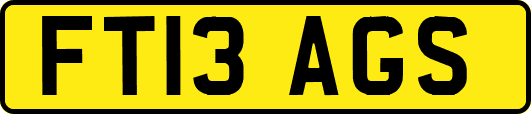 FT13AGS
