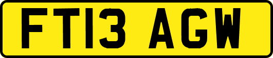 FT13AGW
