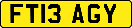 FT13AGY