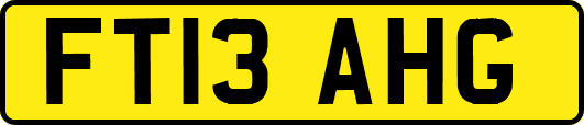FT13AHG