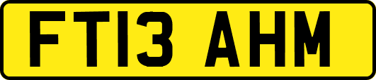 FT13AHM