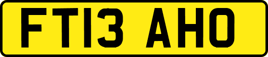 FT13AHO