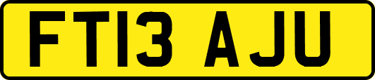 FT13AJU