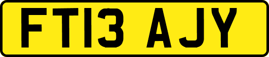 FT13AJY
