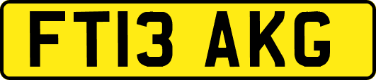 FT13AKG